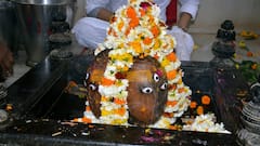 Mahashivratri 2024: भरतपुर में उल्लास के साथ मनाई गई महाशिवरात्रि, 'बम-बम भोले' के जयकारे से गूंजा शहर