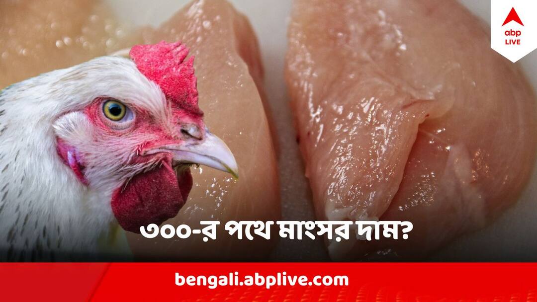 Chicken Price Hike In Kolkata may touch Rupees 300 per kg Chicken Price Hike : অগ্নিমূল্য মুরগির মাংস, ৩০০ ছুঁতে চলেছে কেজিপ্রতি দাম?