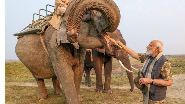 PM Modi visit to many states including Assam Narendra Modi visited Kaziranga National Park PM visits Assam: అసోం స‌హా ప‌లు రాష్ట్రాల్లో ప్ర‌ధాని ప‌ర్య‌ట‌న‌- కజిరంగా నేషనల్ పార్క్‌ను సందర్శించిన మోడీ