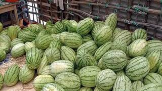 வெயிலின் தாக்கத்தை தணிக்க தொடங்கியது தர்பூசணி சீசன் - தேனியில் களைகட்டும் விற்பனை