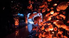 Decoration Ideas: होली पर अपने घर को दें कलरफुल लुक, तारीफ करते नहीं थकेंगे मेहमान