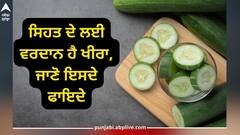 Cucumber Benefits: ਸਿਹਤ ਸੰਬੰਧੀ ਕਈ ਸਮੱਸਿਆਵਾਂ ਨੂੰ ਜੜ੍ਹ ਤੋਂ ਖਤਮ ਕਰਦਾ 'ਖੀਰਾ', ਜਾਣੋ ਮਾਹਿਰ ਤੋਂ ਵਰਤੋਂ ਕਰਨ ਦਾ ਸਹੀ ਤਰੀਕਾ