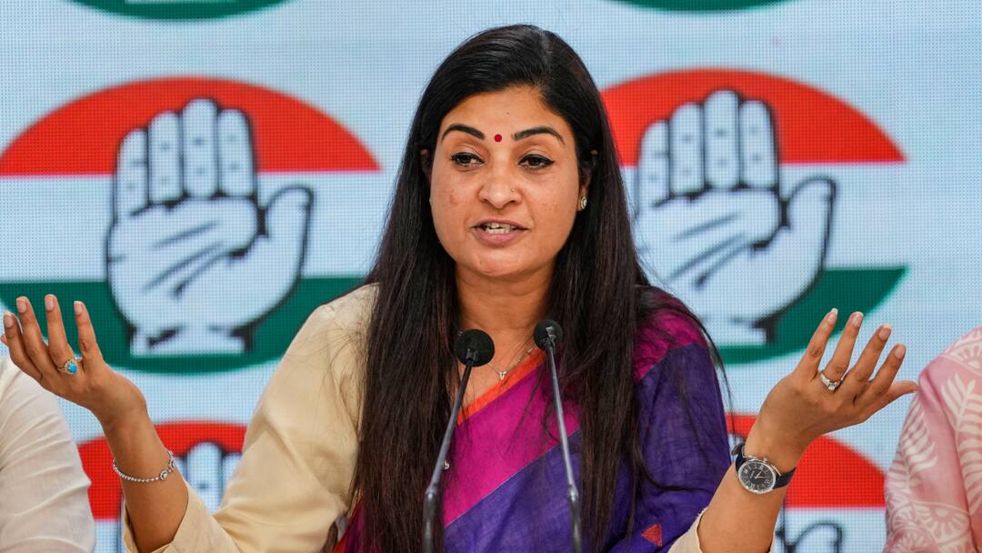 Lok Sabha Election 2024 Alka Lamba May Contest In Delhi Attack On BJP Lok Sabha Election: क्या दिल्ली से लोकसभा चुनाव लड़ेंगी अलका लांबा? एबीपी न्यूज़ से खास बातचीत में खुद दिया जवाब