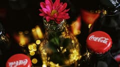 इन देशों में नहीं मिलती कोका कोला, लेकिन बैन लगाने के पीछे क्या है कारण?