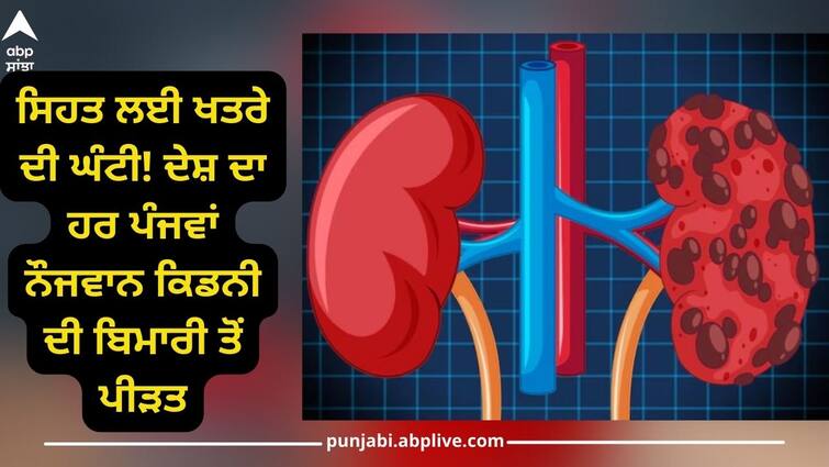 Kidney Disease: kidney disease risk increasing in youth know prevantion Health Alert: ਫਾਸਟ ਫੂਡ ਤੋਂ ਬਣਾਓ ਦੂਰੀ ਤੇ ਕਸਰਤ ਕਰਨੀ ਜ਼ਰੂਰੀ, ਦੇਸ਼ ਦਾ ਹਰ 5ਵਾਂ ਨੌਜਵਾਨ ਕਿਡਨੀ ਦੀ ਬਿਮਾਰੀ ਤੋਂ ਪੀੜਤ, ਰਿਸਰਚ 'ਚ ਹੋਇਆ ਖੁਲਾਸਾ!