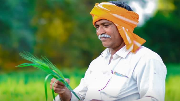 23 crore farmers are getting the benefit of Pradhan Mantri Crop Insurance Scheme 23 कोटी शेतकऱ्यांना मिळतोय पीक विमा योजनेचा लाभ, आत्तापर्यंत किती कोटी जमा? लाभार्थ्यांच्या संख्येत झपाट्यानं वाढ 