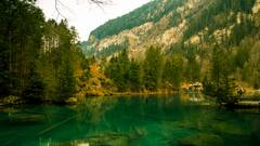 इस देश में है दुनिया के सबसे ज्यादा पेड़, संख्या सुन उड़ जाएंगे होश