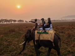 From Elephant To Jeep Safari — PM Modi Visits Assam's Kaziranga National Park. IN PICS