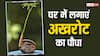 बाजार से अखरोट खरीदने का झंझट हो जाएगा खत्म, इस आसान तरीके से घर में उगा लें