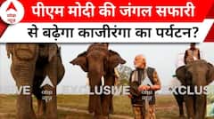 PM Modi in Assam: तूफानी दौरे के बीच पीएम ने काजीरंगा में बिताया हाथियों के साथ समय | ABP News