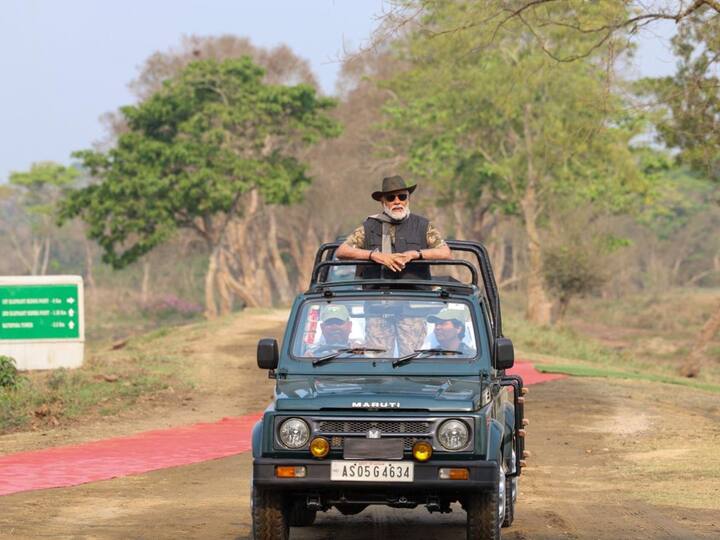 This was followed by a jeep safari inside the same range, the Central Kohora Range. (Photo: ANI)