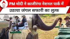PM Modi in Kaziranga Park: PM Modi के असम दौरे की दूसरा दिन, जंगल सफारी का लिया आनंद | ABP NEWS