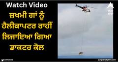Viral Video: ਜ਼ਖਮੀ ਗਾਂ ਨੂੰ ਹੈਲੀਕਾਪਟਰ ਰਾਹੀਂ ਲਿਜਾਇਆ ਗਿਆ ਡਾਕਟਰ ਕੋਲ, ਵੀਡੀਓ ਵਾਇਰਲ