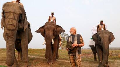 pm modi takes elephant and jeep safari at kaziranga national park at assam PM Modi: கசிரங்கா பூங்காவில் யானை சஃபாரி சென்ற மோடி.. புகைப்படம் பகிர்ந்து நெகிழ்ந்த பிரதமர்..