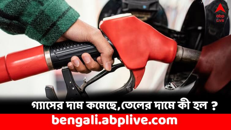 Petrol and Diesel Rate Today in India in Kolkata on 9 March 2024 Petrol Diesel Price: পেট্রোল ডিজেল এখন কত করে লিটার ? জ্বালানি তেলের দামে কত হেরফের শহরে ?