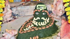 Mahashivratri 2024: भरतपुर में उल्लास के साथ मनाई गई महाशिवरात्रि, 'बम-बम भोले' के जयकारे से गूंजा शहर