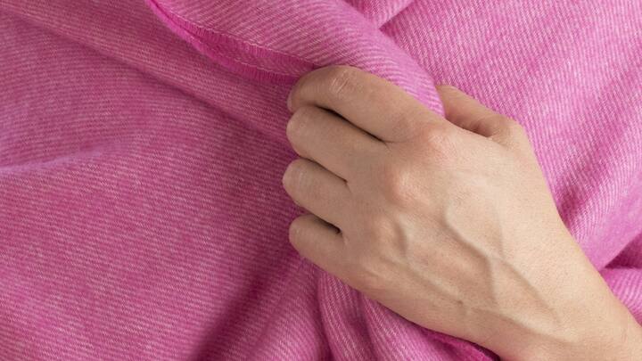 কাশ্মীরি উলের সঙ্গে পৃথিবীর পরিচয় ঘটে ভারতের দৌলতেই। ১৫ শতকে কাশ্মীরের তৎকালীন শাসক জইন-উল-আবিদিন মধ্য এশিয়া থেকে শ্রমিক এনে কাশ্মীরি উলের উপর নির্ভর শিল্প গড়ে তোলেন। তারও আগে খ্রিস্টপূর্ব তিন শতকের লেখালেখিতেও কাশ্মীরে উলের তৈরি শালের উল্লেখ পাওয়া যায়। ছবি: পিক্সাবে।