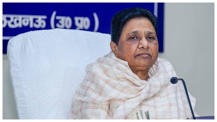 BSP Contesting Lok Sabha Elections On Its Own: Mayawati Says ‘Alliance Rumors Are Fake’ BSP Contesting Lok Sabha Elections On Its Own: Mayawati Says ‘Alliance Rumors Are Fake’