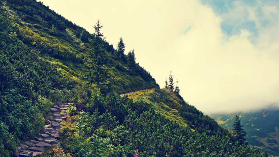 Madhya Pradesh wonderful hill stations plan to visit in summer मध्यप्रदेश में हैं ये शानदार हिल स्टेशन, खूबसूरती देख खुला का खुला रह जाएगा मुंह