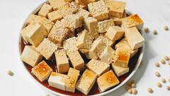 Belly Fat: পেটের অতিরিক্ত মেদ ঝরাতে 'ডিনারের মেনুতে' কোন কোন খাবার রাখা অবশ্যই জরুরি? রইল তালিকা