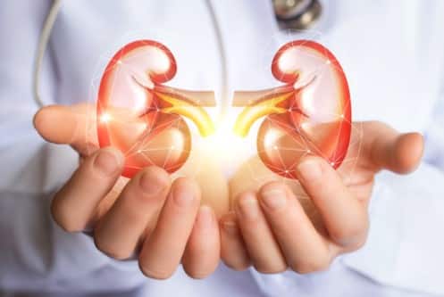 World Kidney Day: what eat and not to eat in diet to keep healthy kidney function World Kidney Day 2024: વધુ પડતી દવાઓ લેવાથી કિડનીને થાય છે નુકસાન, આ ચીજો પણ છે ખતરનાક