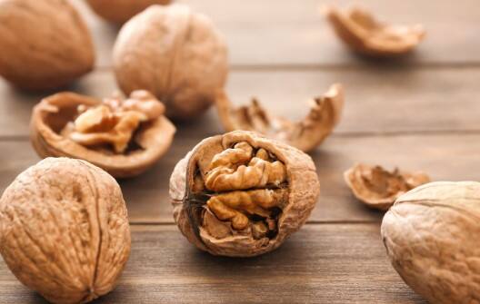 Start eating walnuts on an empty stomach Health Tips: અખરોટ ખાલી પેટ ખાવાનું શરુ કરો, આ બીમારીઓ રહેશે દૂર