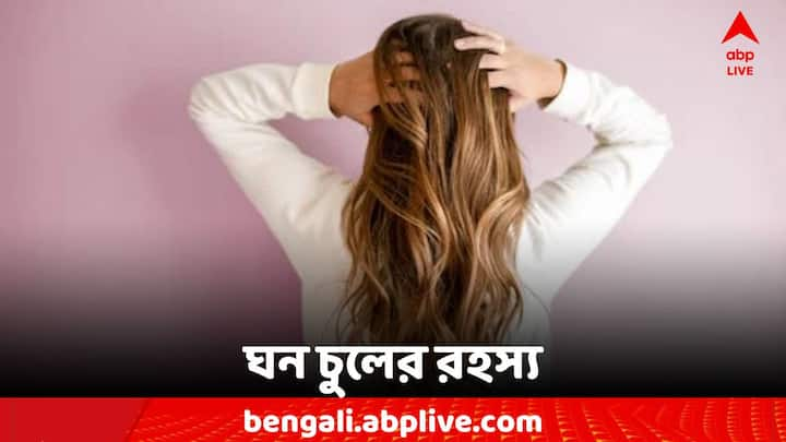 Lifestyle Tips: চুল শুধু ঝলমলে হলেই হবে না। হতে হবে ঘনও। কিন্তু কীভাবে?