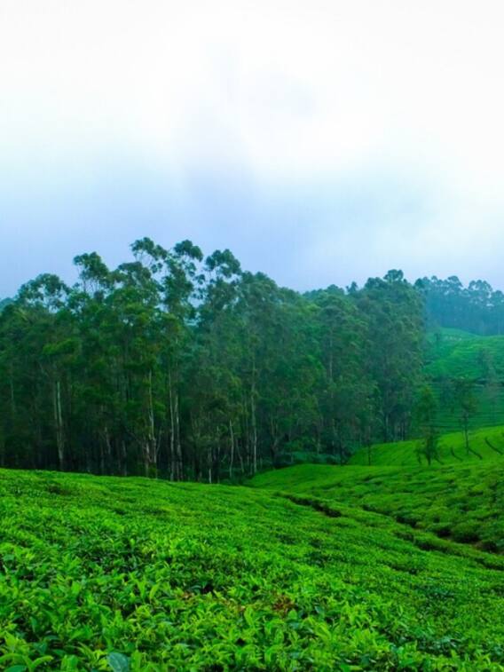 मार्च में घूमने के लिए ये हैं बेस्ट जगहें