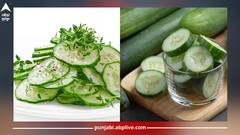 Cucumber: ਸਿਹਤ ਦੇ ਲਈ ਵਰਦਾਨ ਖੀਰਾ, ਜਾਣੋ ਇਸ ਦੇ ਚਮਤਕਾਰੀ ਫਾਇਦੇ