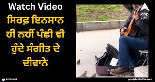 Viral Video: ਸਿਰਫ਼ ਇਨਸਾਨ ਹੀ ਨਹੀਂ ਪੰਛੀ ਵੀ ਹੁੰਦੇ ਸੰਗੀਤ ਦੇ ਦੀਵਾਨੇ, ਯਕੀਨ ਨਹੀਂ ਆਉਂਦਾ ਤਾਂ ਦੇਖੋ ਇਹ ਦਿਲ ਨੂੰ ਸਕੂਨ ਦੇਣ ਵਾਲੀ ਵੀਡੀਓ