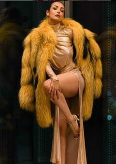 मलाइका अरोड़ा को अरबाज खान से तलाक के बाद मिली थी मोटी एलिमनी? सालों बाद एक्ट्रेस ने किया खुलासा