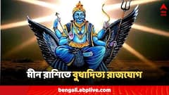 Budhaditya Rajyog 2024: মীন রাশিতে বুধাদিত্য রাজযোগ, সপ্তাহের শুরুতেই ৫ রাশির ভাগ্যে অর্থবৃষ্টি