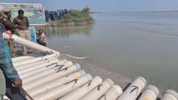 Meerut News 75 Crocodiles released in Hastinapur Ganga river ann Meerut News: हस्तिनापुर गंगा में छोड़े गए 75 नन्हे घड़ियाल, 1000 किलोमीटर का सफर करेंगे तय