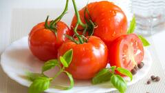 Tomato Facepack : चेहऱ्याचे सौंदर्य खुलेल , टोमॅटो चे हे फेसपॅक वापरा !