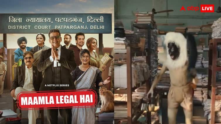 Maamla Legal Hai ravi kishan nidhi bisht shows best supporting character Naila Grewal Maamla Legal Hai: लॉ एंड ऑर्डर बन रवि किशन का घुमाया सिर, बंदर के खिलाफ 'लीगल' हुआ मामला...वो मौके जब साइड कैरेक्टर बने 'हीरो'