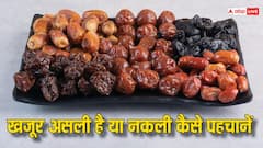 कैसे पहचानें कौनसा खजूर है सबसे अच्छा, ये ट्रिक बताती है असली-नकली की पहचान