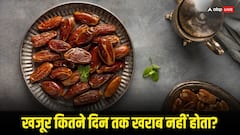 कितने दिन तक खराब नहीं होते खजूर, क्या पूरे महीने के एक साथ ले सकते हैं?