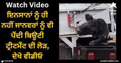 Viral Video: ਇਨਸਾਨਾਂ ਨੂੰ ਹੀ ਨਹੀਂ ਜਾਨਵਰਾਂ ਨੂੰ ਵੀ ਪੈਂਦੀ ਬਿਊਟੀ ਟ੍ਰੀਟਮੈਂਟ ਦੀ ਲੋੜ, ਦੇਖੋ ਵੀਡੀਓ