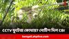 Ration Scam: CBI নোটিশ বনগাঁ থানা-বনগাঁ পুরসভাকে! কী চাইল সিবিআই