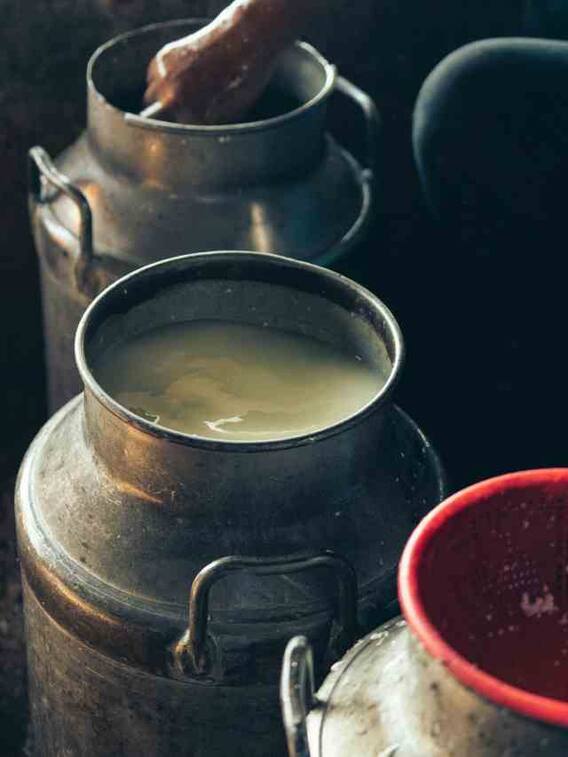 डेयरी प्लांट से कैसे कमा सकते हैं लाखों रुपये?