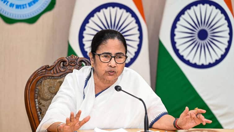 BJP Forcefully Provoking People Before Polls Mamata Says As Centre Notifies CAA BJP PM Modi Lok Sabha Polls NRC 'BJP Forcefully Provoking People Before Polls': Mamata Says As Centre Notifies CAA