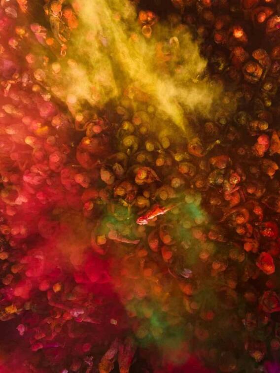 होली का त्योहार मनाने के लिए ये है फेमस जगहें