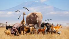 दुनिया में एक ऐसा जानवर भी है जो कभी आसमान में नहींं देख सकता, नाम जानते हैं आप?