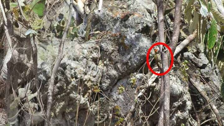 अगर आप इसका सही जवाब नहीं खोज पा रहे तो हम आपको इसका सही जवाब बता रहे हैं.