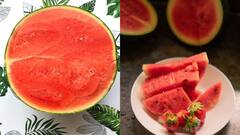 Watermelon: தர்பூசணி வாங்குமுன் கவனிக்க வேண்டிய விஷயங்கள் - தெரிஞ்சிக்கலாம் வாங்க!