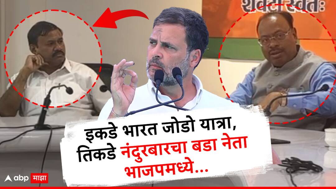 इकडे भारत जोडो यात्रा गावात आली, तिकडे नंदुरबारचा बडा काँग्रेस नेता भाजपमध्ये! Padmakar Valvi congress leader from Nandurbar to join BJP in presence of Chandrashekhar Bawankule during Rahul Gandhi Bharat Jodo Yatra at his constituency Maharashtra politics इकडे भारत जोडो यात्रा गावात आली, तिकडे नंदुरबारचा बडा काँग्रेस नेता भाजपमध्ये!