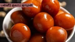 Paneer Gulab Jamun : பன்னீர் இருக்கா..அப்போ உடனே இந்த அசத்தலான பன்னீர் குலாப் ஜாமுனை செய்யுங்க!