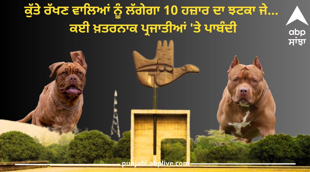 Chandigarh News: ਕੁੱਤੇ ਰੱਖਣ ਵਾਲਿਆਂ ਨੂੰ ਲੱਗੇਗਾ 10 ਹਜ਼ਾਰ ਦਾ ਝਟਕਾ ਜੇ…, ਕਈ ਖ਼ਤਰਨਾਕ ਪ੍ਰਜਾਤੀਆਂ 'ਤੇ ਪਾਬੰਦੀ, ਜਾਣੋ ਨਵੇਂ ਨਿਯਮ Dog owners will get a blow of 10 thousand if ban on many dangerous species Chandigarh News: ਕੁੱਤੇ ਰੱਖਣ ਵਾਲਿਆਂ ਨੂੰ ਲੱਗੇਗਾ 10 ਹਜ਼ਾਰ ਦਾ ਝਟਕਾ ਜੇ…, ਕਈ ਖ਼ਤਰਨਾਕ ਪ੍ਰਜਾਤੀਆਂ 'ਤੇ ਪਾਬੰਦੀ, ਜਾਣੋ ਨਵੇਂ ਨਿਯਮ