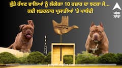 Chandigarh News: ਕੁੱਤੇ ਰੱਖਣ ਵਾਲਿਆਂ ਨੂੰ ਲੱਗੇਗਾ 10 ਹਜ਼ਾਰ ਦਾ ਝਟਕਾ ਜੇ…, ਕਈ ਖ਼ਤਰਨਾਕ ਪ੍ਰਜਾਤੀਆਂ 'ਤੇ ਪਾਬੰਦੀ, ਜਾਣੋ ਨਵੇਂ ਨਿਯਮ