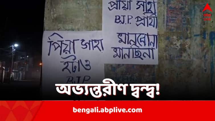 Lok Sabha Elections 2024 Birbhum Bolpur Posters appear against BJP candidate Piya Saha Birbhum News: বোলপুরের বিজেপি প্রার্থীকে ঘিরে অসন্তোষ দলের অন্দরে! পোস্টারে ছয়লাপ কীর্ণাহার